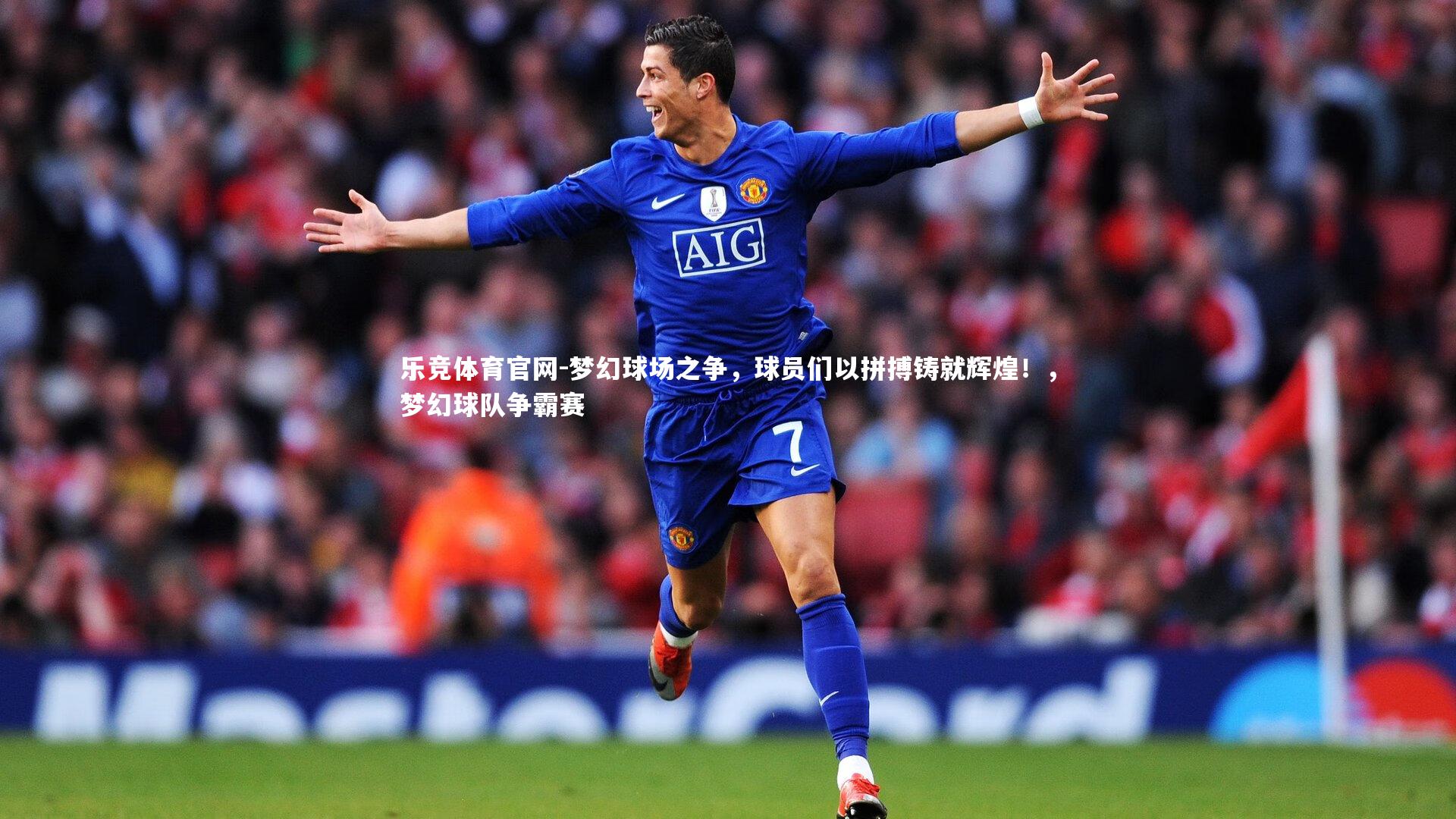 梦幻球场之争，球员们以拼搏铸就辉煌！，梦幻球队争霸赛