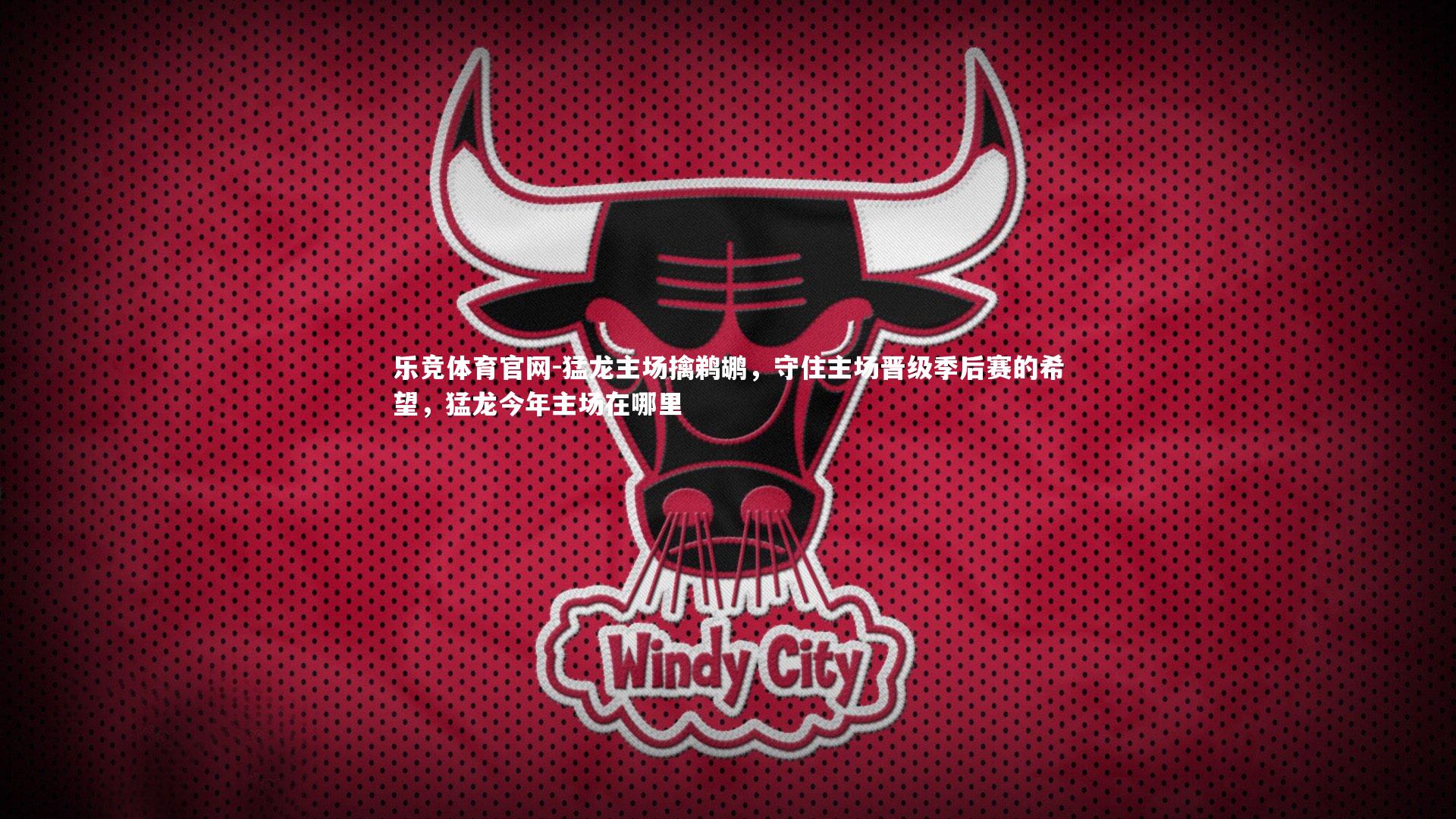 猛龙主场擒鹈鹕，守住主场晋级季后赛的希望，猛龙今年主场在哪里