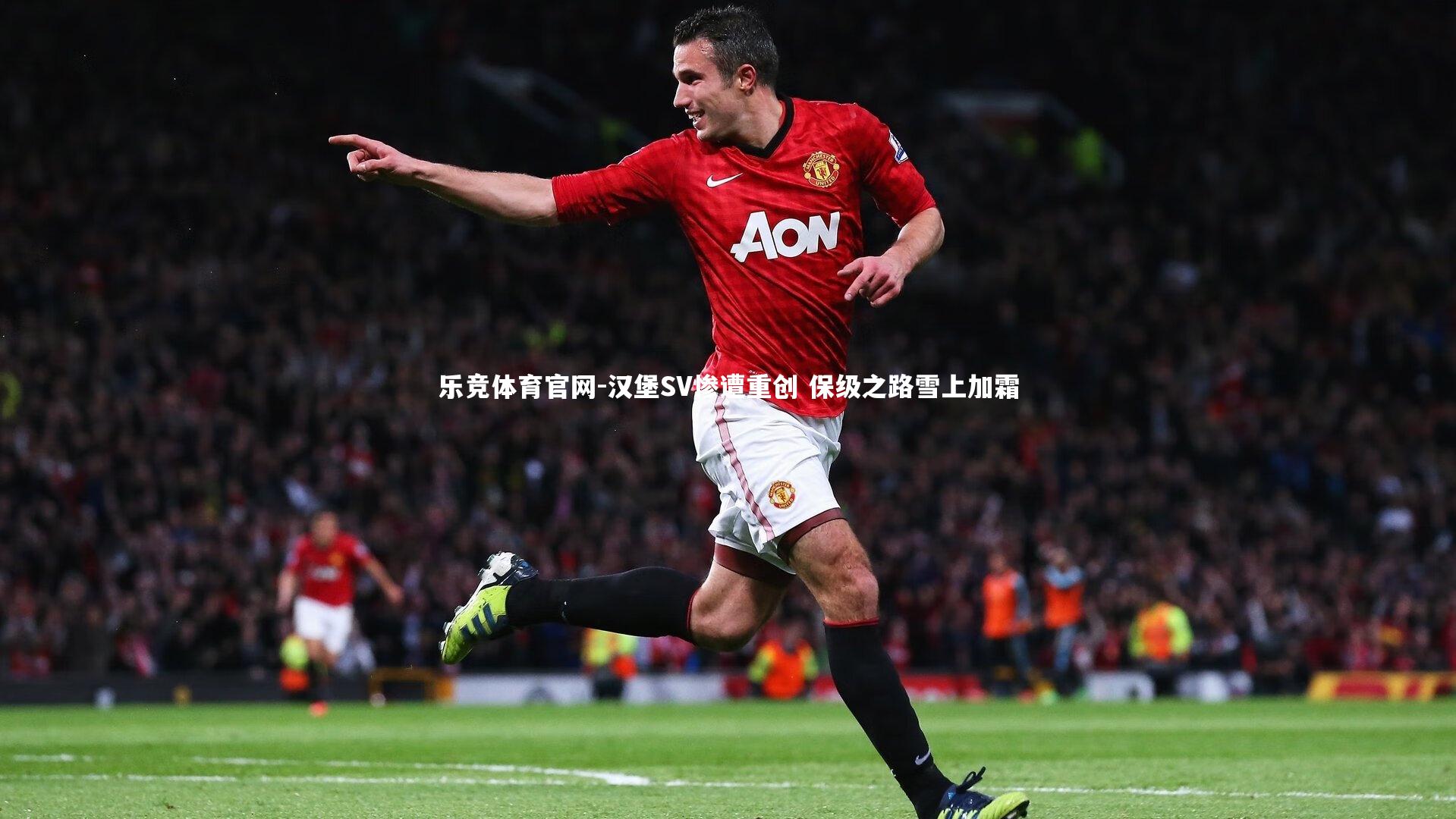 汉堡SV惨遭重创 保级之路雪上加霜